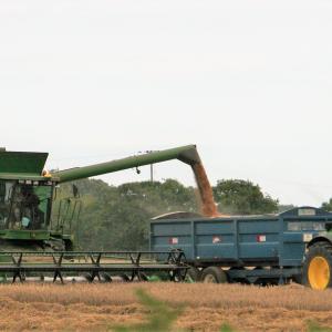 Combine Harvesting