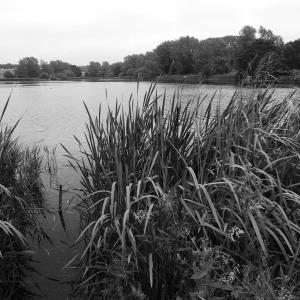 Loompit Lake3