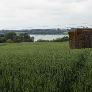Loompit Loop. Poimt 14