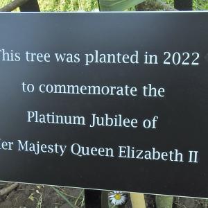 Plaque
