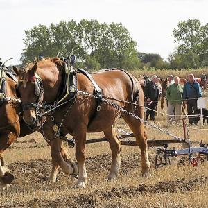 Ploughing 2