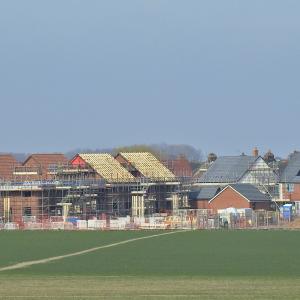 Poppyfield Green rear view
