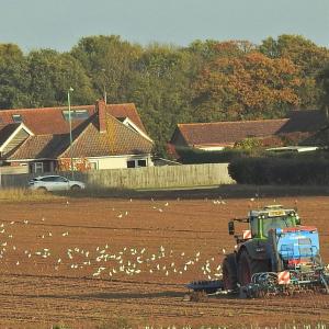 Seed Drilling