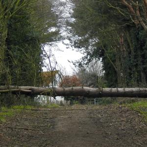 Storm damage February 20222