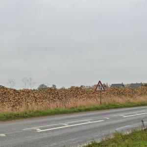 Sugar Beet harvest