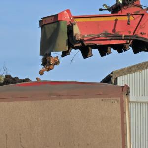 Sugarbeet Loading 