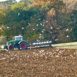 Winter Ploughing 